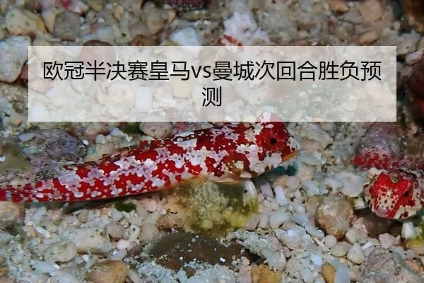 ou-guan-ban-jue-sai-huang-ma-man-cheng-ci-hui-he-sheng-fu-yu-ce-2-873.jpg